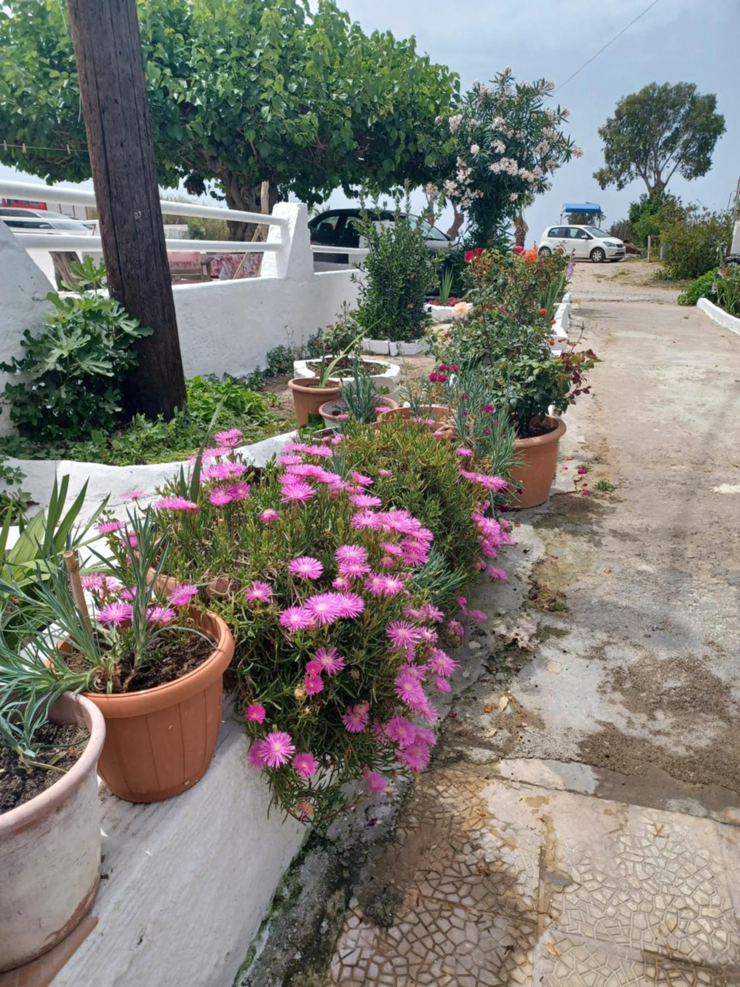 Apartamento Mastichari Nektaria Studio Exterior foto